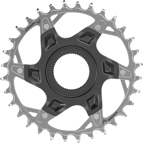 large (3).webp