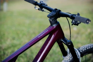 d56i4267_jpg.webp