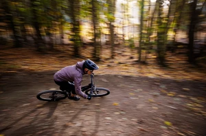 d56i4312-edit_jpg.webp